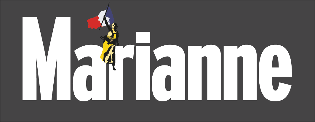 Logo Marianne - Gris